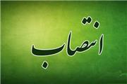 انتصابات جدید در شرکت غله و خدمات بازرگانی منطقه 12 (استان لرستان)