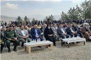 قصد داریم امسال 3.5 میلیون نهال در استان تولید کنیم