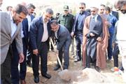کاشت نهال در مجموعه بام خرم‌آباد