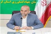 توزیع عادلانه مرغ گرم در بین خرده فروشان لرستان
