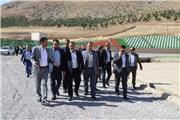 دمیدن روح تازه در کالبد ورزش لرستان