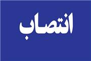 رییس امور شعب بانک سپه استان لرستان منصوب شد