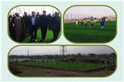 چمن مصنوعی مینی فوتبال روستای دهنو دورود افتتاح شد