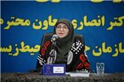تأکید بر تشکیل دیپلماسی محیط زیست در کشور‌های همسایه/ لزوم راه اندازی صندوق مقابله و مهار گرد