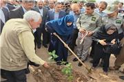 حفاظت از جنگل های بلوط در لرستان با همکاری وزارت جهاد کشاورزی در دستور کار است