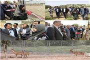 رهاسازی گونه گوزن زرد ایرانی درکشت و صنعت و گردشگری ماهور لرستان