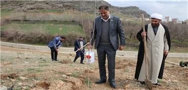 کاشت 200 اصله نهال در آبشار طلایی خرم‌آباد+عکس