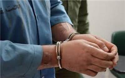 کلاه‌بردار اینترنتی در دام پلیس