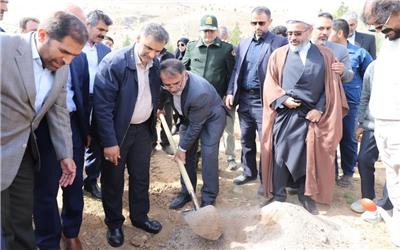 کاشت نهال در مجموعه بام خرم‌آباد