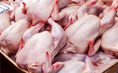 کشف 2 تن مرغ غیر بهداشتی و تاریخ مصرف گذشته در دلفان