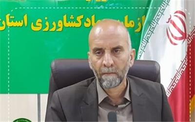 تاکید رییس سازمان جهاد کشاورزی لرستان بر بیمه محصولات کشاورزی