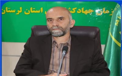 صدور شناسنامه الکترونیکی برای زنبورستان ها/ لزوم اعلام محل استقرار به مراکز خدمات جهاد
