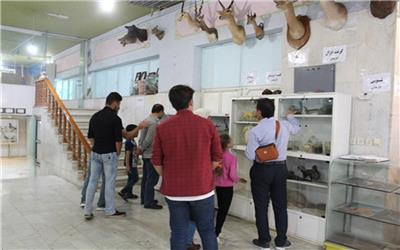 موزه تاریخ طبیعی و تنوع زیستی لرستان پر بازدیدترین موزه کشور در ایام دهه مبارک فجر