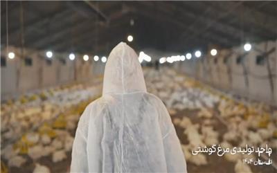 مشکلات بوجود آمده توسط استخراج غیر قانونی رمز ارز