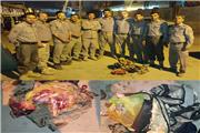 دستگیری شکارچیان یک رأس بز وحشی در خرم‌آباد