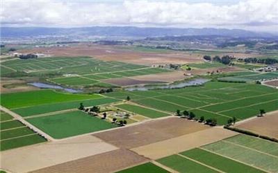 تثبیت 5 هزار هکتار از اراضی کشاورزی لرستان