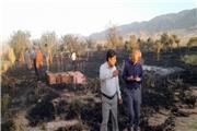 خسارت 24 میلیارد ریالی آتش سوزی به مزارع خرم آباد