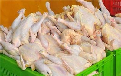 پیش بینی تولید 7500 تن مرغ در لرستان تا پایان مردادماه