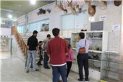 موزه تاریخ طبیعی و تنوع زیستی لرستان پر بازدیدترین موزه کشور در ایام دهه مبارک فجر