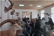 استقبال بیش از ١5 هزار نفر گردشگرنوروزی از موزه تاریخ طبیعی و تنوع زیستی لرستان